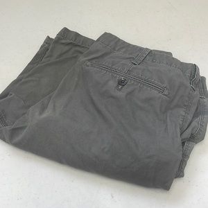 Express shorts 36